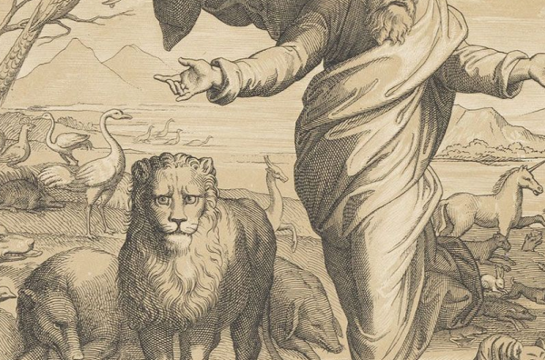 Выставочный проект   «Рафаэль. Эпоха ренессанса»