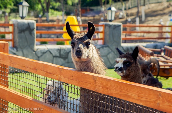 Экопарк «Биосфера»