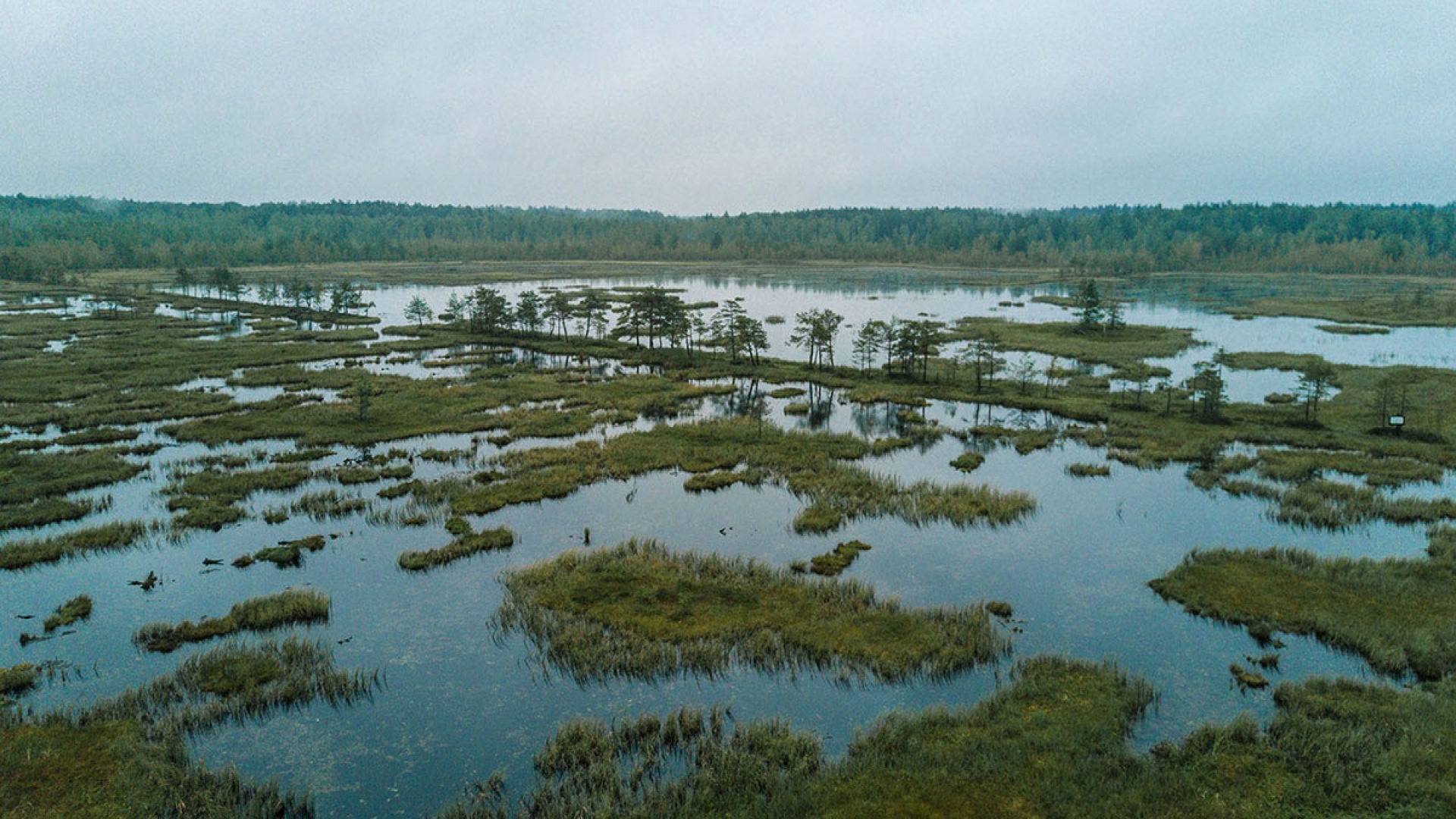 Галкинское болото