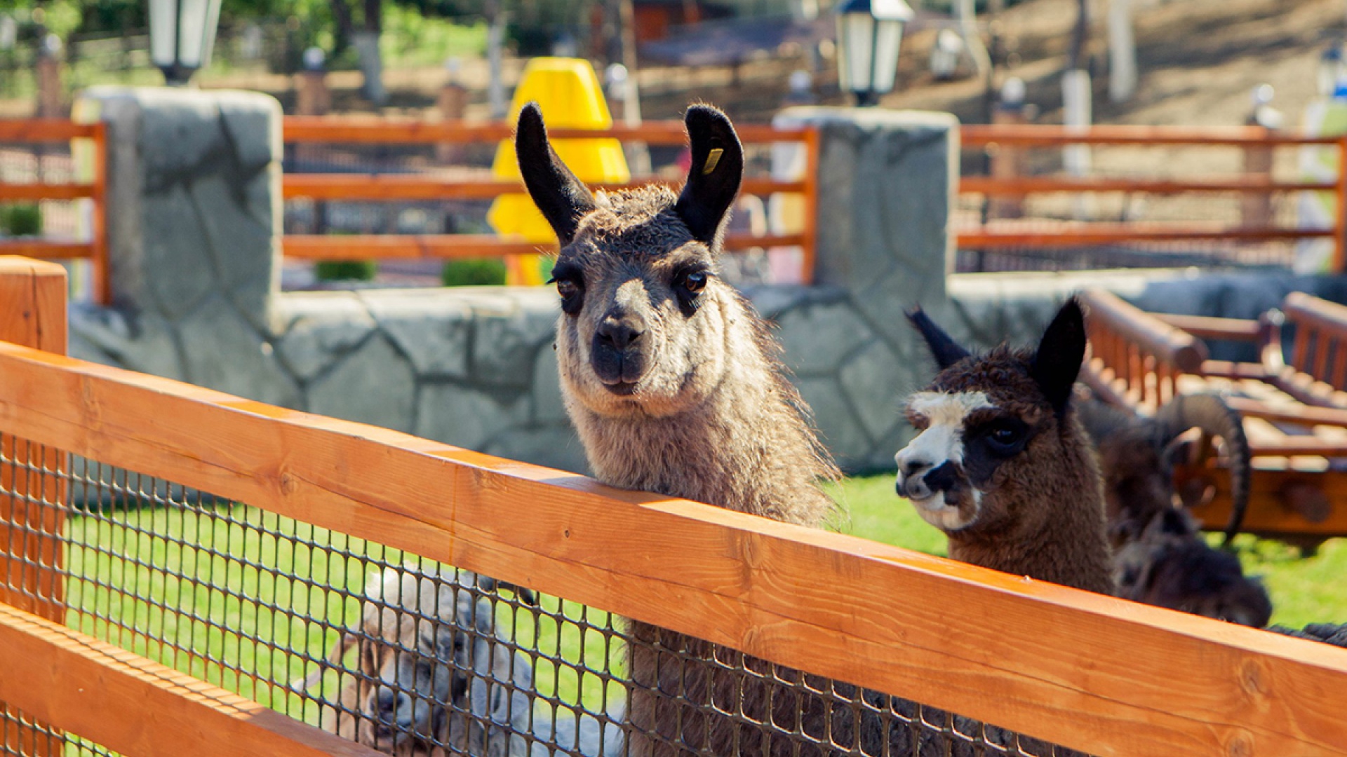 Экопарк «Биосфера»