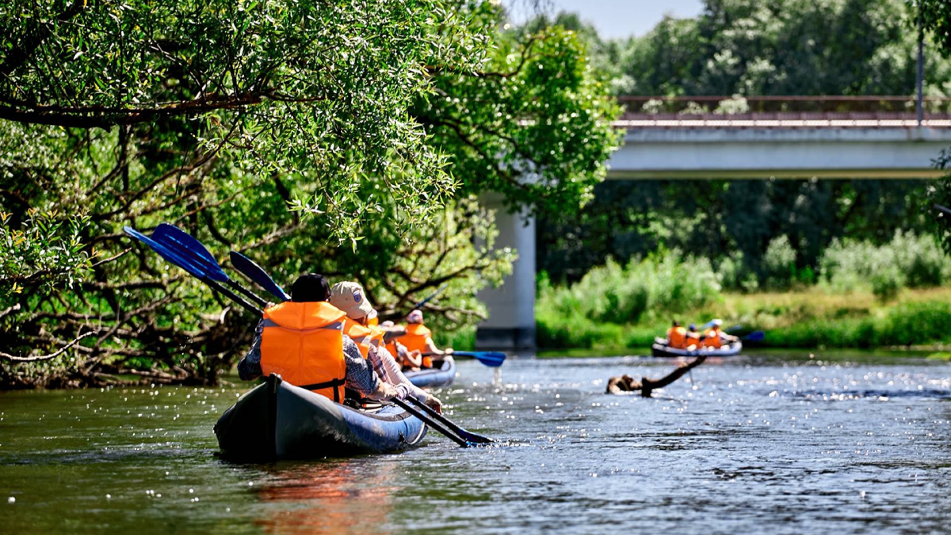 Байдаркины40 | сплавы «под ключ»