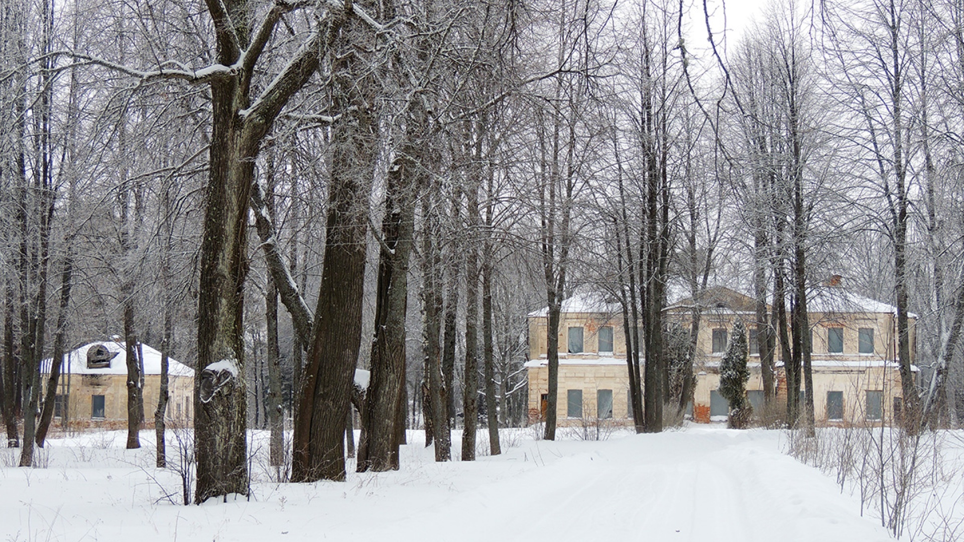 Петроселье