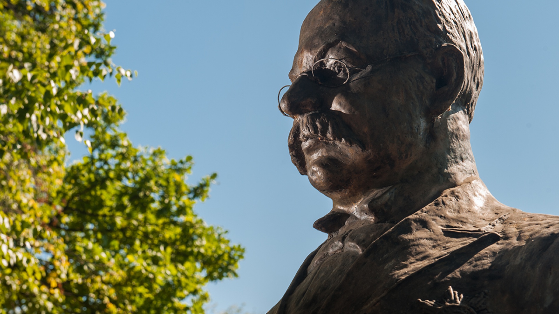 Бюст Ивана Цветаева