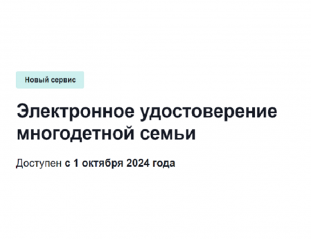 Подтвердить статус многодетной семьи и получить льготы можно на 