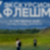 Летний сезон завершится всероссийским флешмобом
