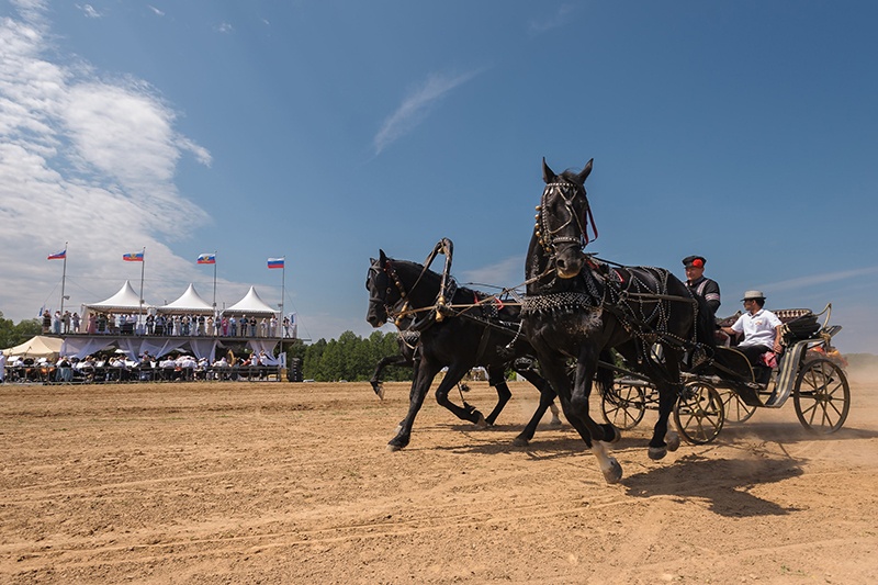 Тройка таруса