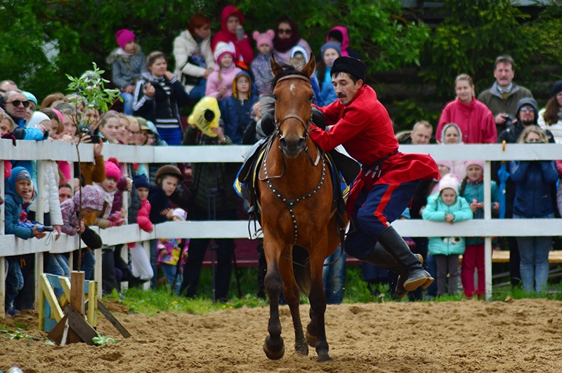 Показательные конные выступления станут гвоздем праздника «Волшебный мир лошади»