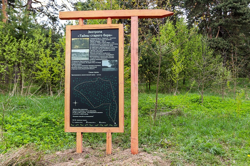 В городском бору Боровска открыли экотропу «Тайны старого бора»