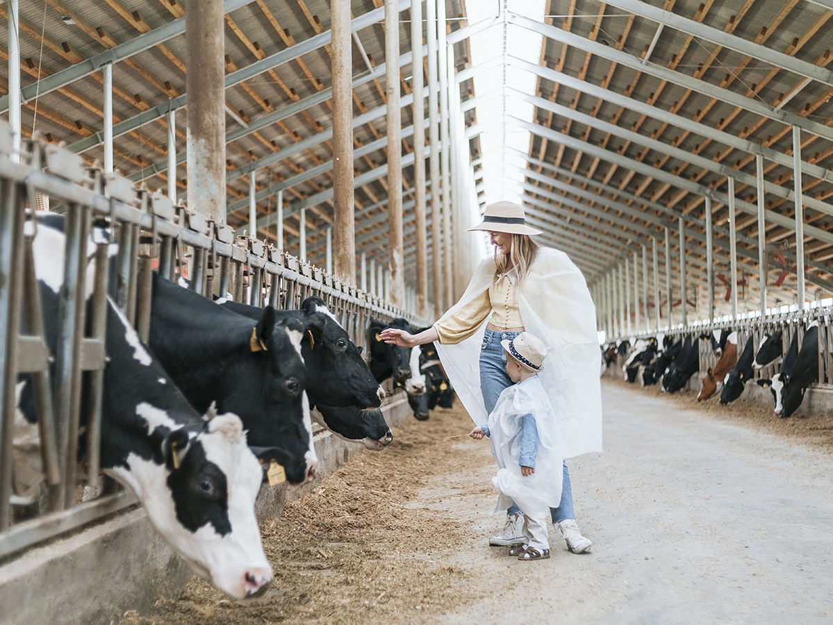 «Путь молока» - увлекательное путешествие на ферму «ЭкоНива»