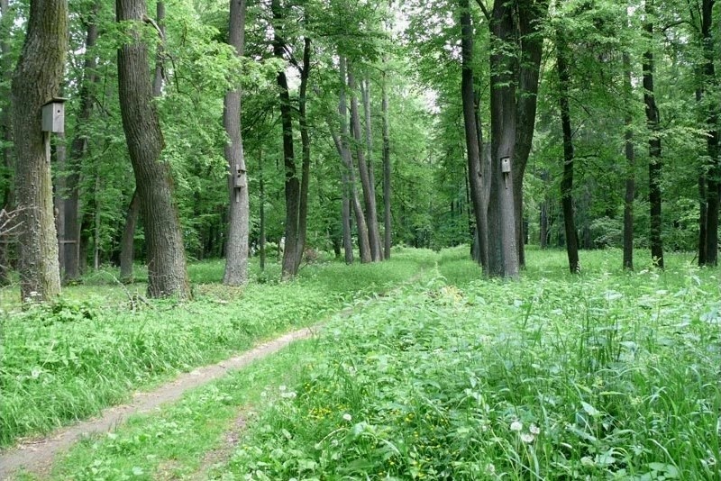 Парк «Передельский»