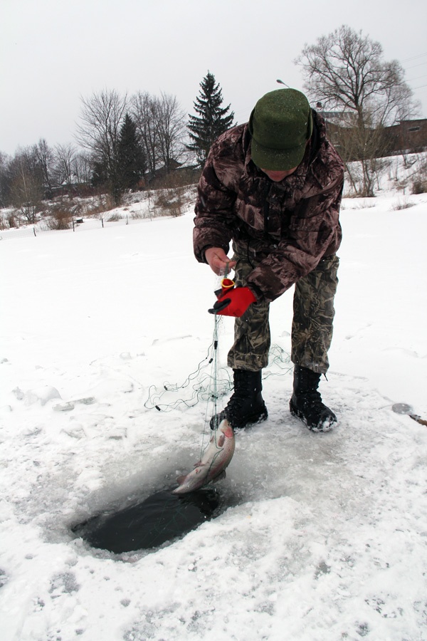 Фото Анатолия Перфилова.