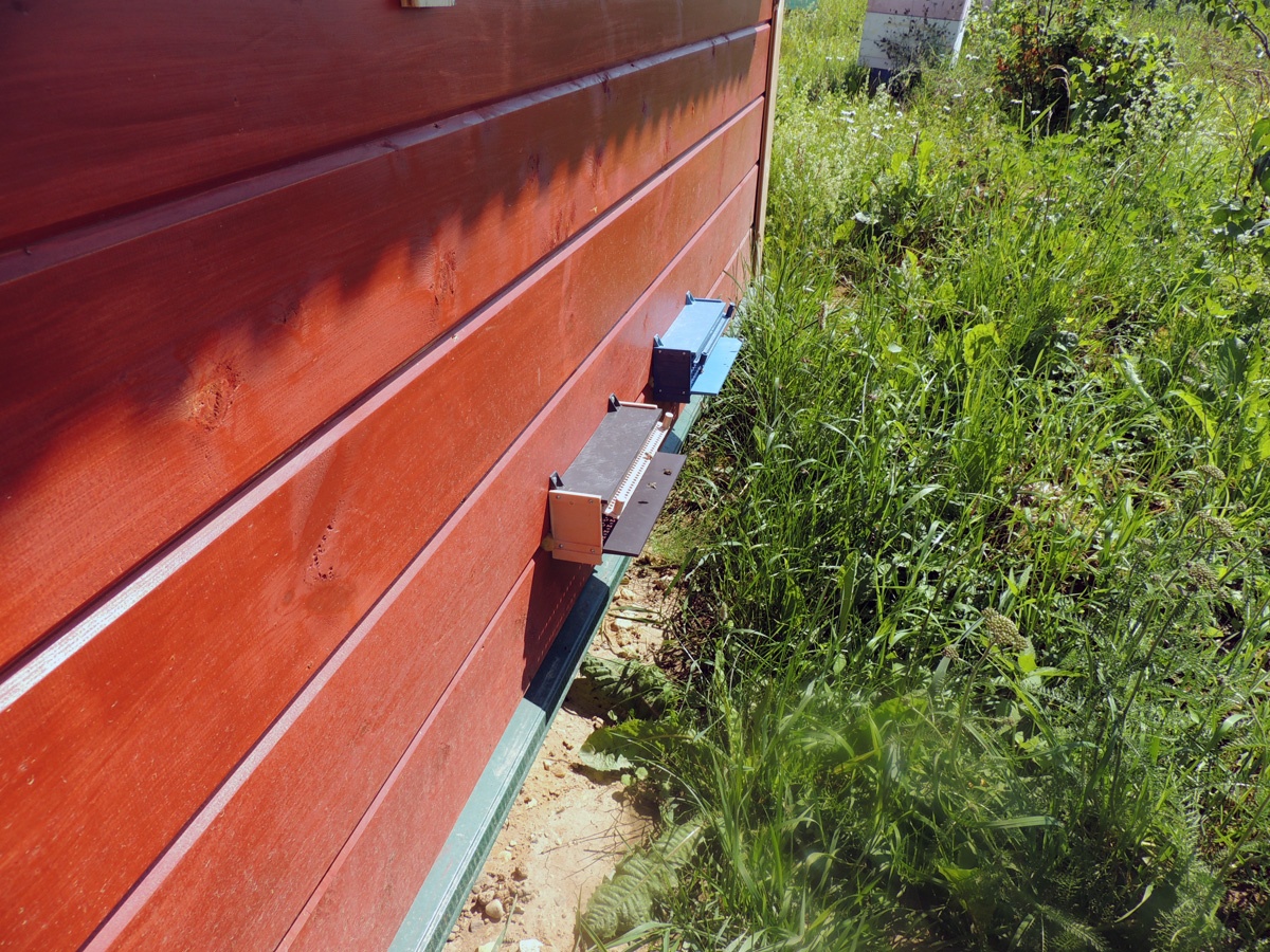 Пчелиные лотки в эпидомике.