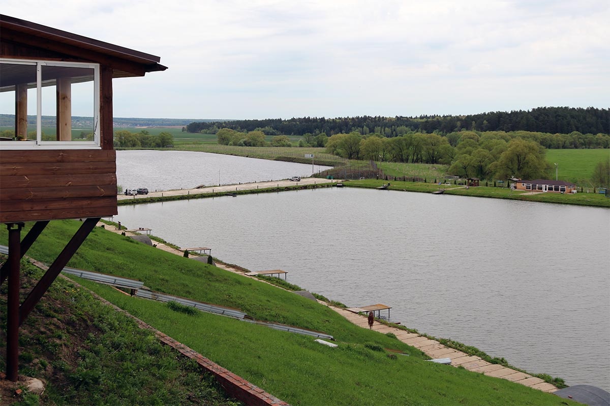 Большой пруд, для летней рыбалки