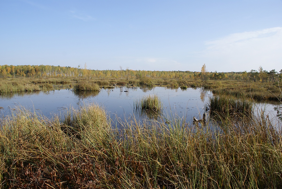 Автор фото - А. Губернаторов