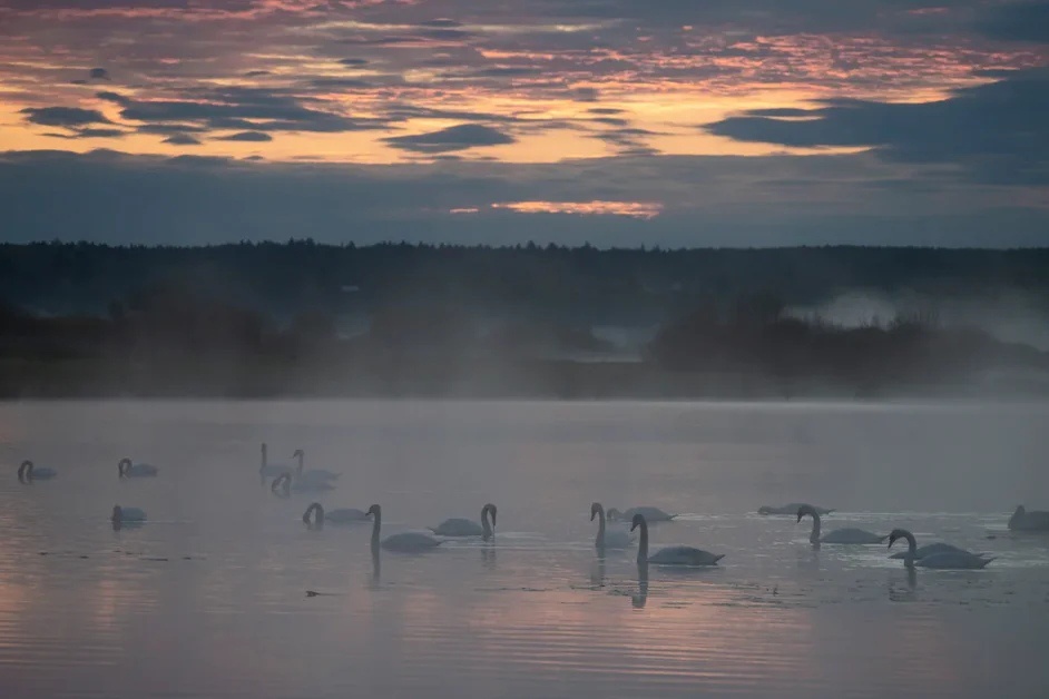 vk.com/ugra_national_park