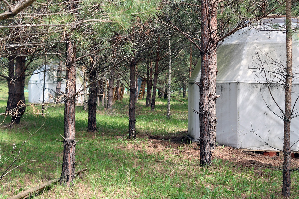 Купольные домики