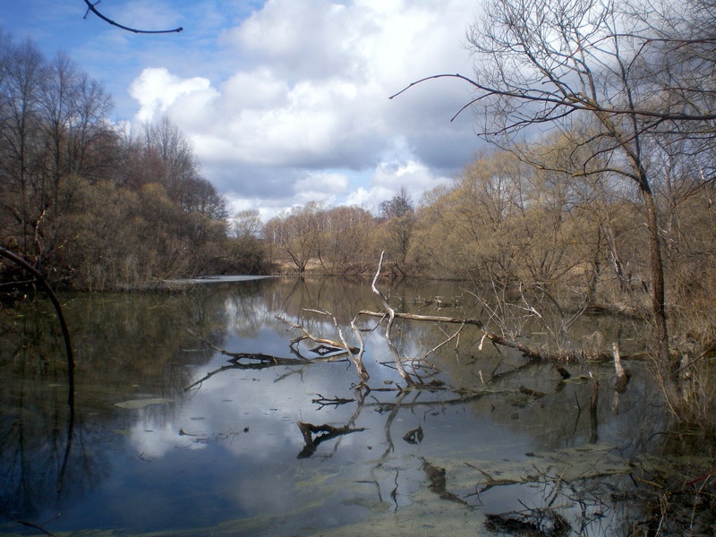 Автор фото - Анатолий Лобочкин.