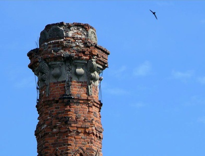 Фото - Лобготт Панзам.