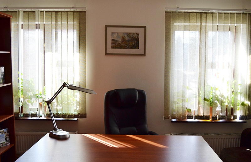 Фрагмент интерьера номер "Кабинет".