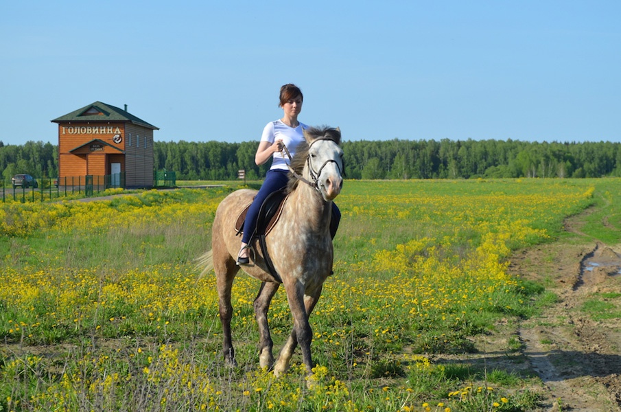 Конный клуб мечта. КСК Жуковский Уфа. Конный клуб Головинка Калужская область. Конный клуб Велес Янино.