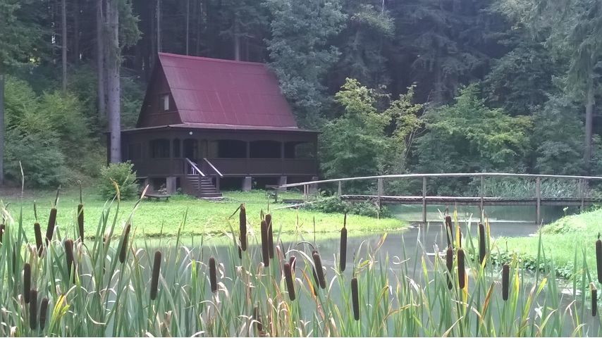 Территория парк-отеля.