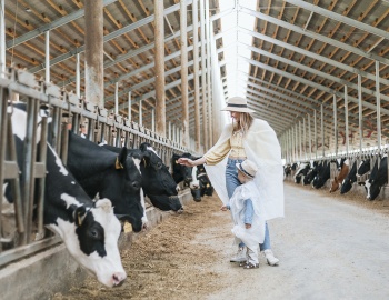«Путь молока» - увлекательное путешествие на ферму лидера по производству молока в России