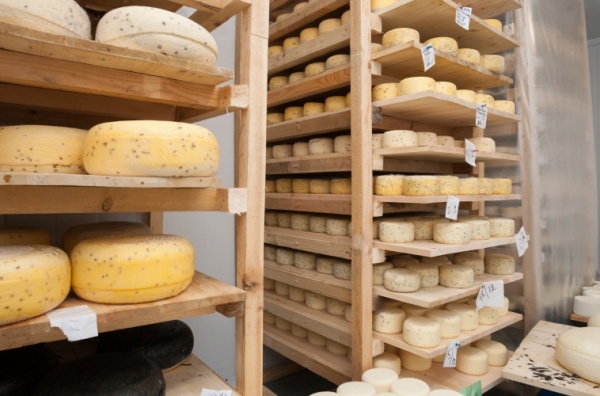 Космическая экскурсия 
на сыроварню Иван Да Марья