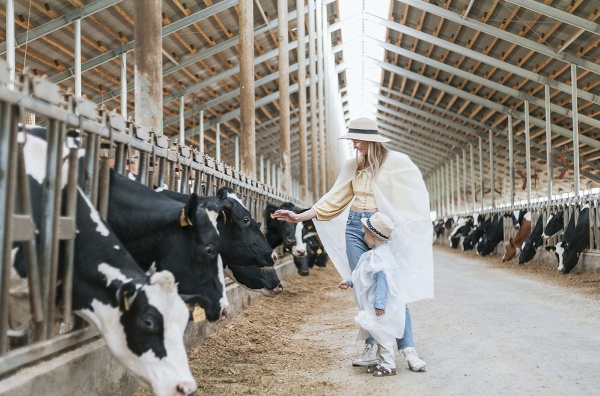 Животноводческий комплекс «ЭкоНива»