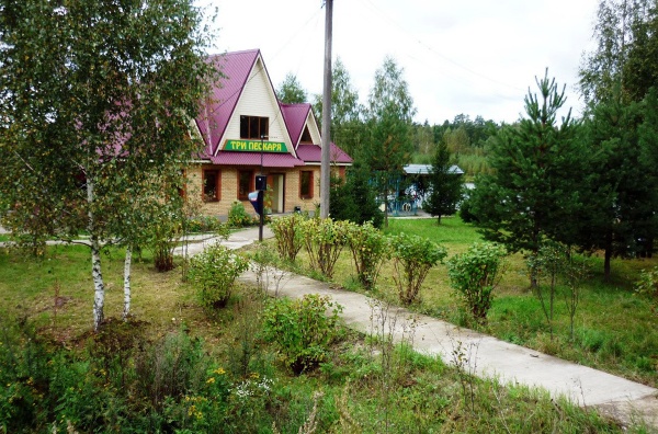 Три пескаря