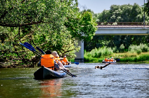 Байдаркины40 | сплавы «под ключ»