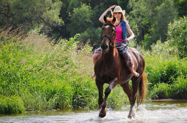 Конно-спортивный комплекс «Вертикаль»