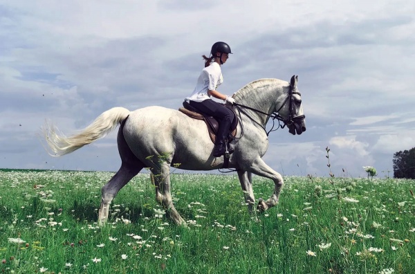 Конный клуб «Таруса»