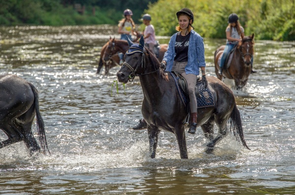 Центр конного отдыха «Караван»