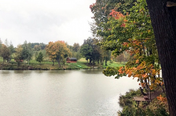 Природный парк «Ивановское»