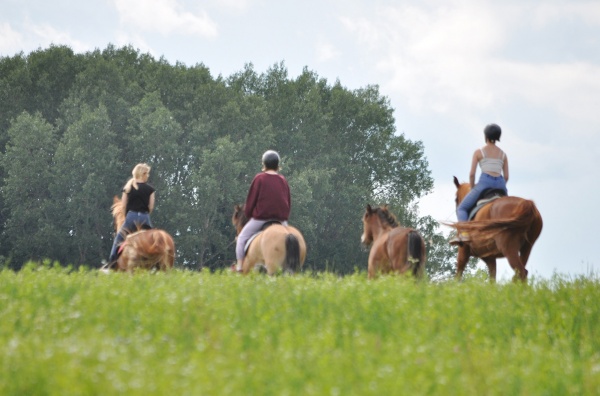 Вольное | конно-туристический клуб