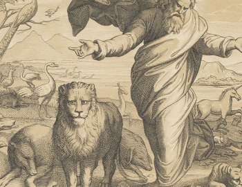 Выставочный проект   «Рафаэль. Эпоха ренессанса»