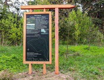 В городском бору Боровска открыли экотропу «Тайны старого бора»
