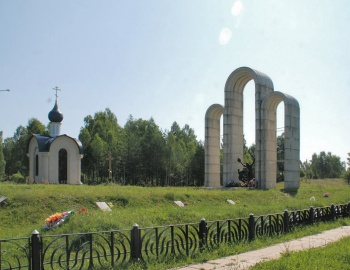 Барсуки