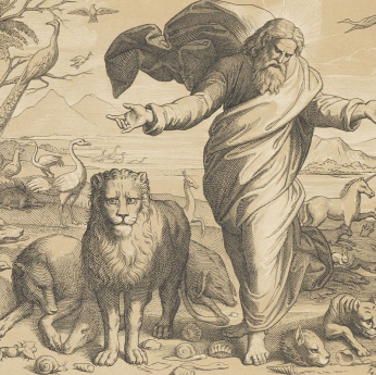 Выставочный проект   «Рафаэль. Эпоха ренессанса»