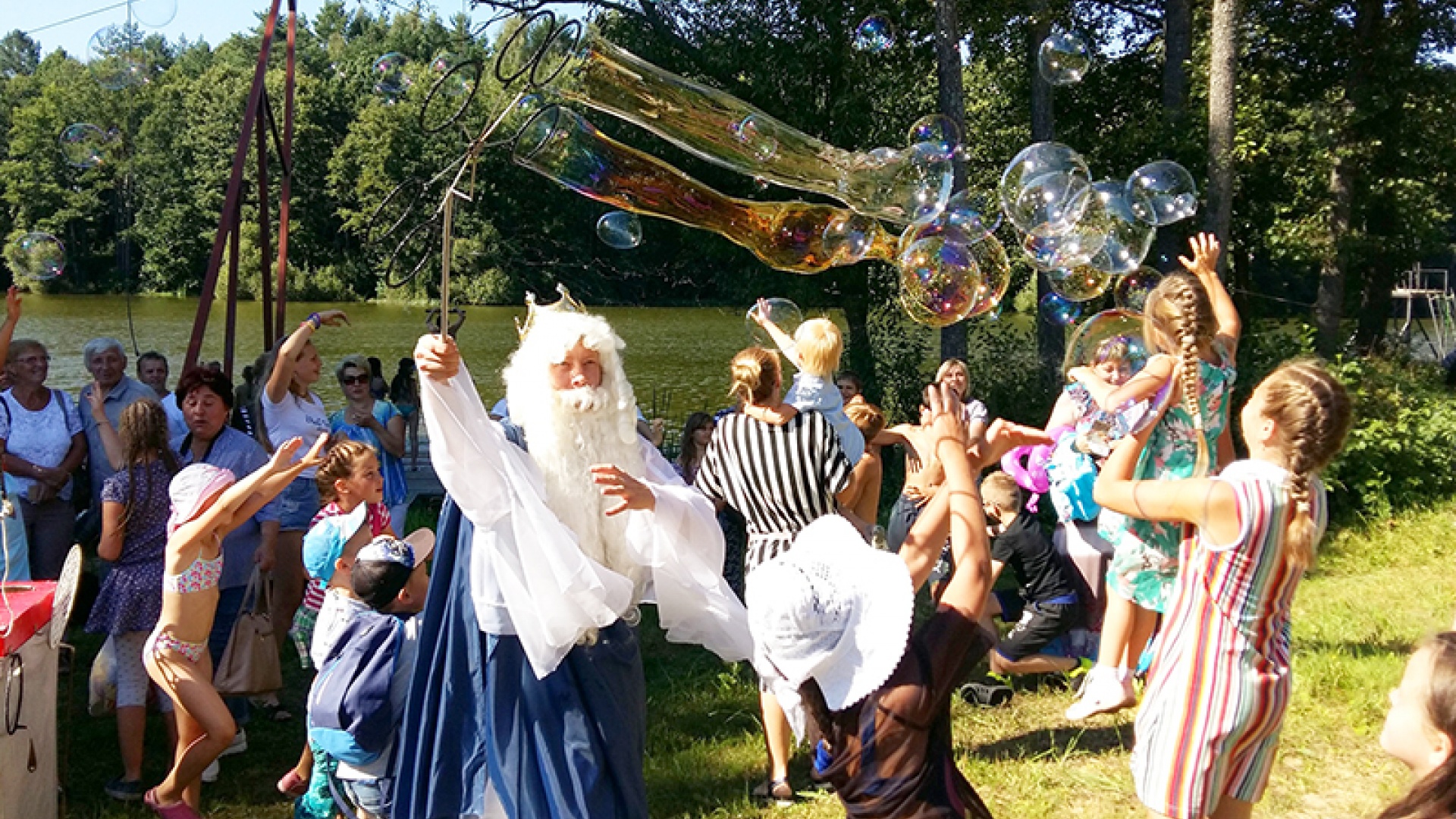 Петухи и гуси в городе Тарусе