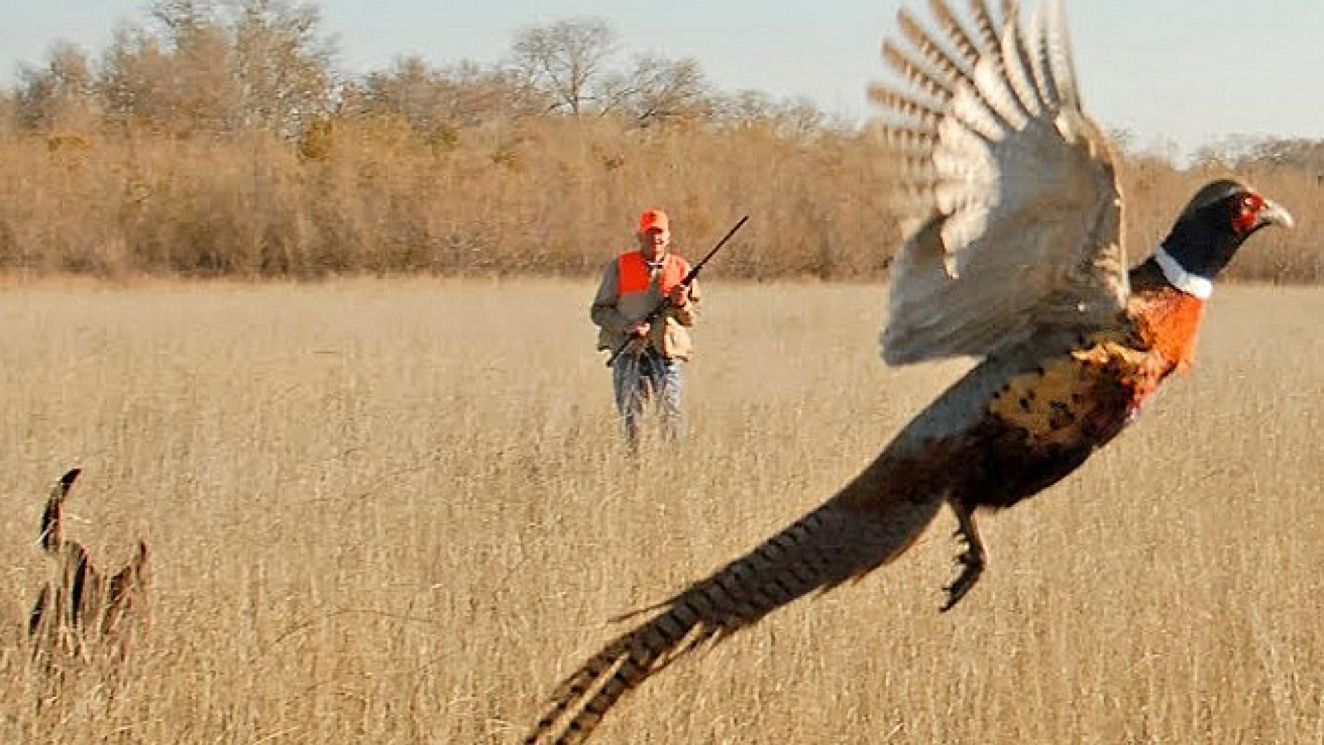 Охотхозяйство «Озёрное»