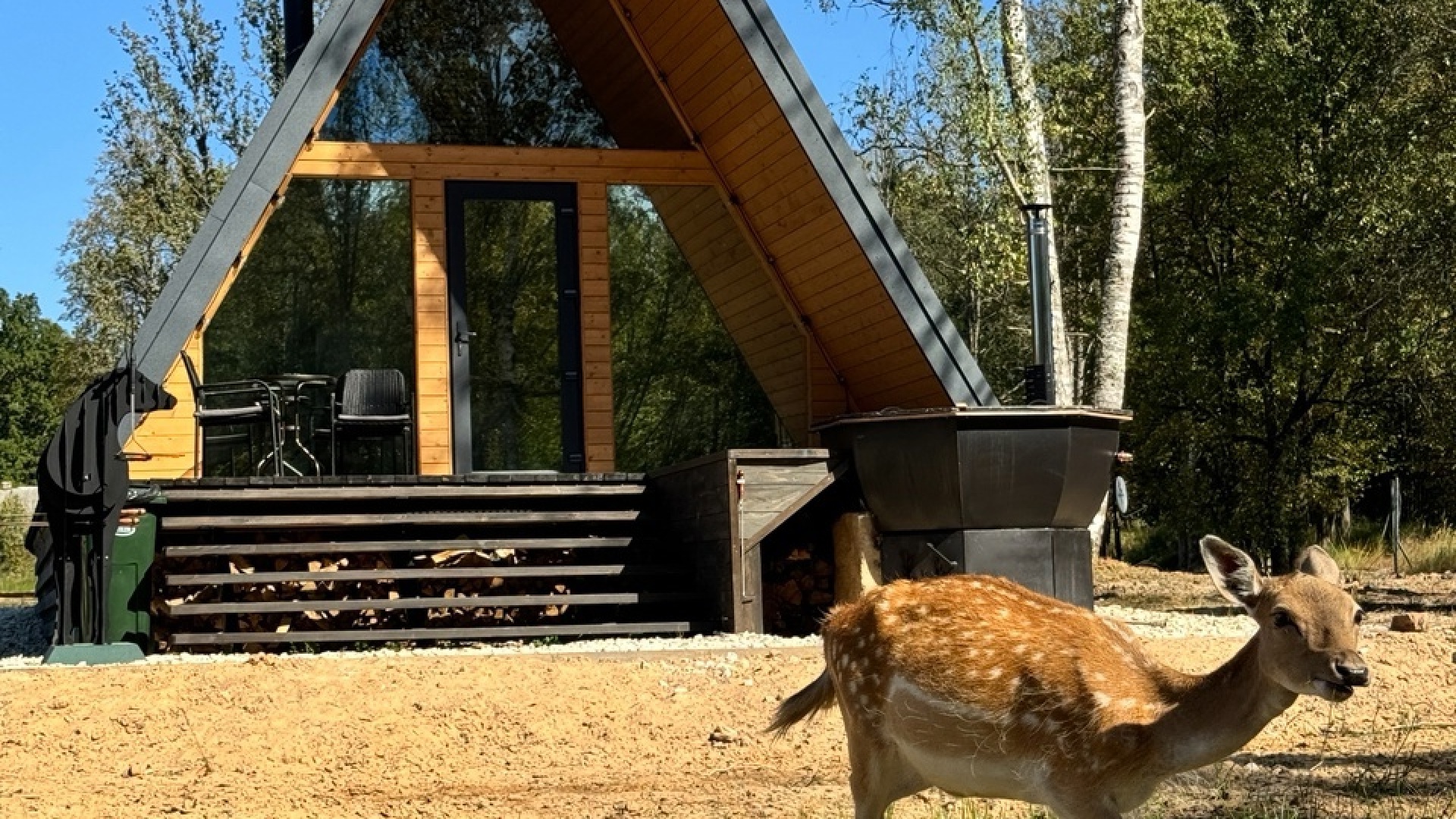 Эко – парк «Дом лани»