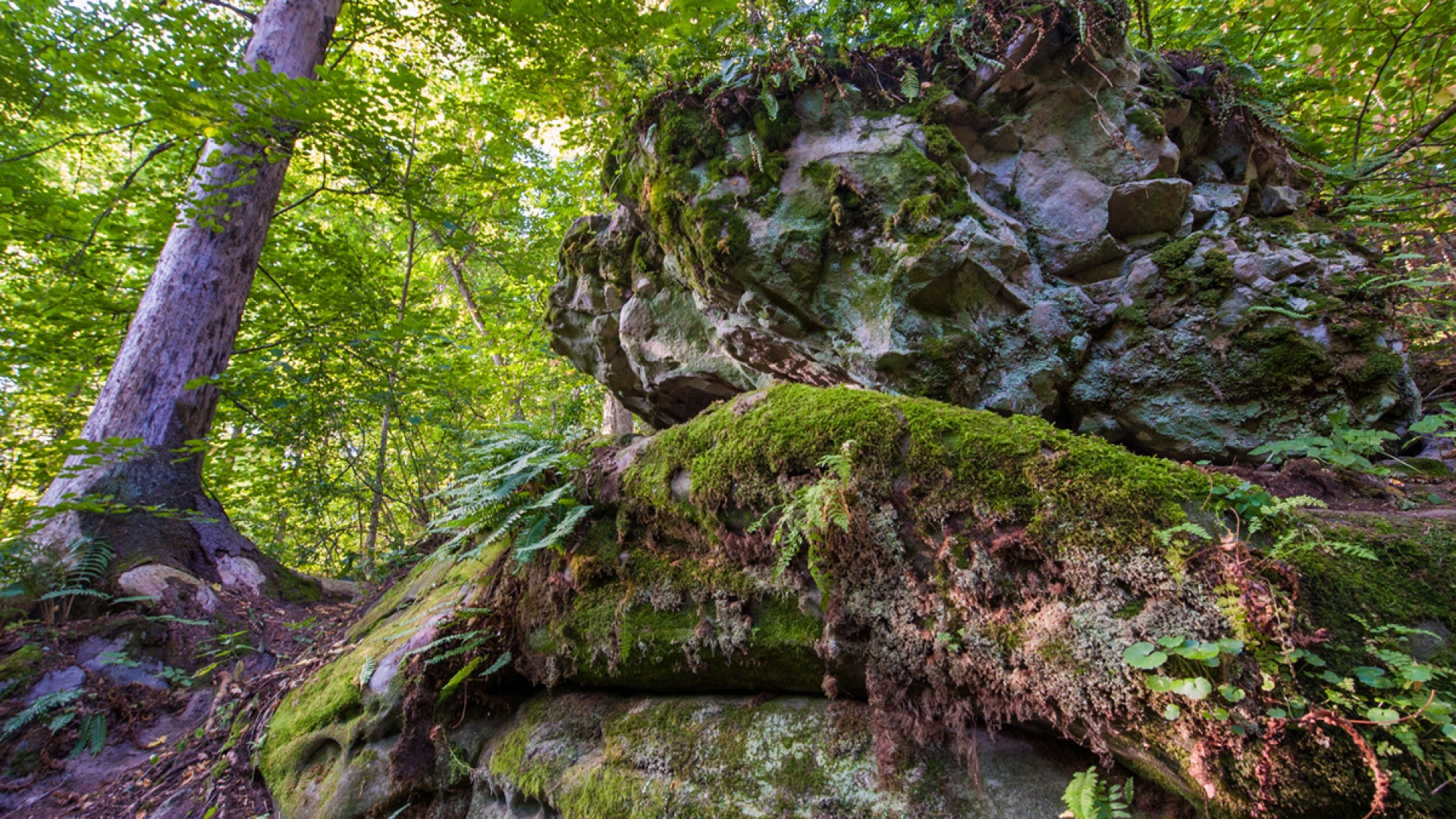 Чёртово городище