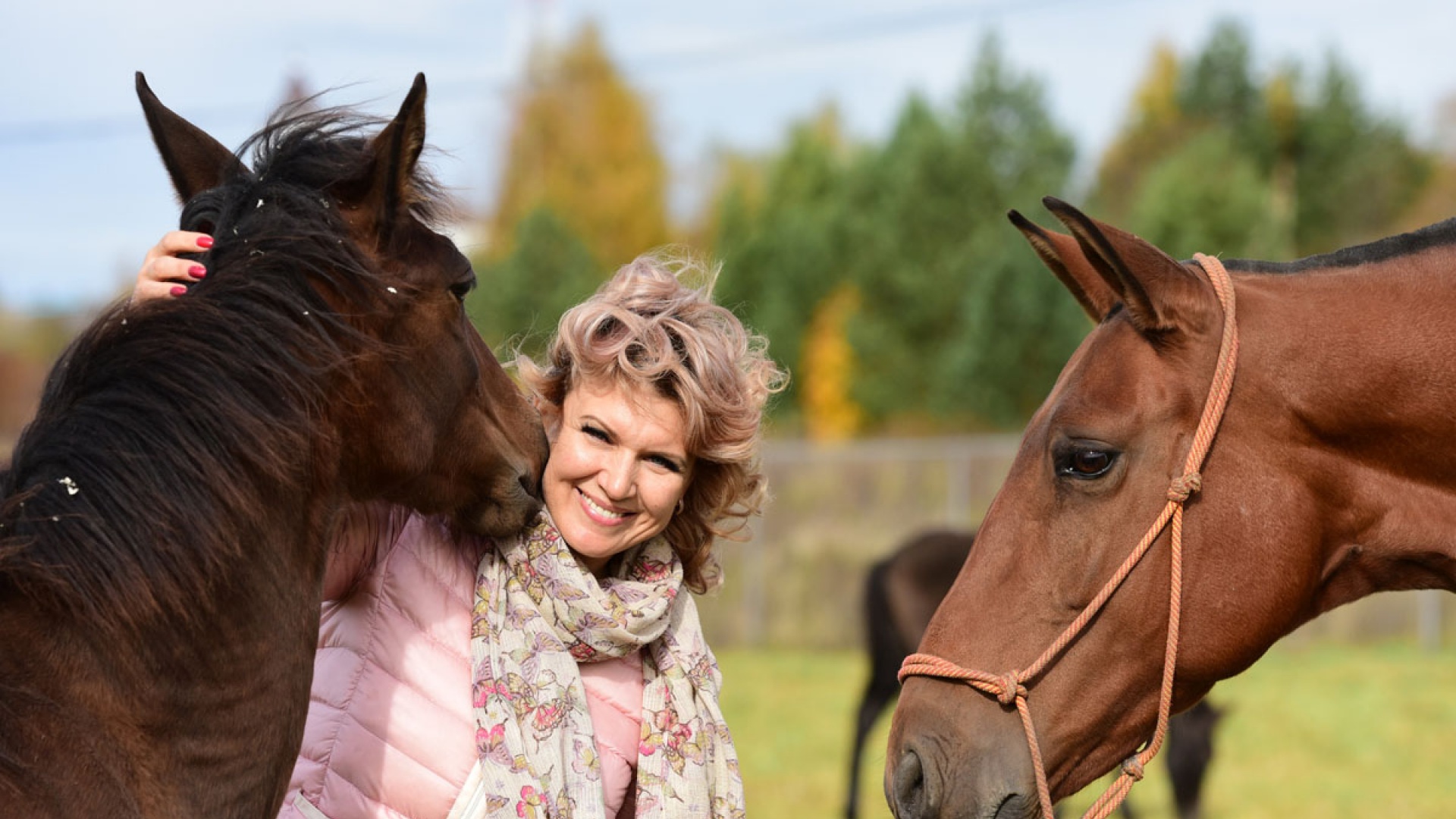 Конеферма Натальи Гирич