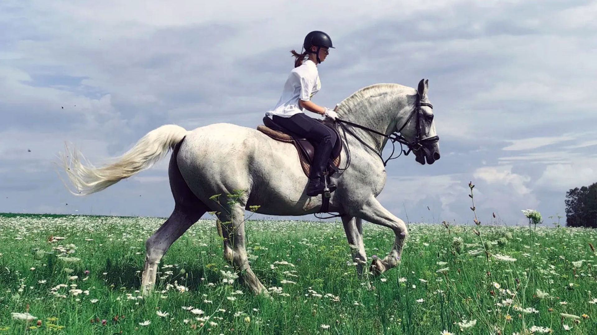 Конный клуб «Таруса»