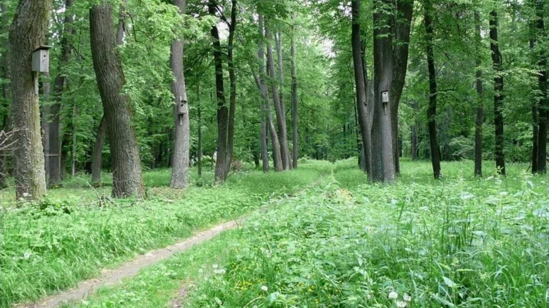 Парк «Передельский»
