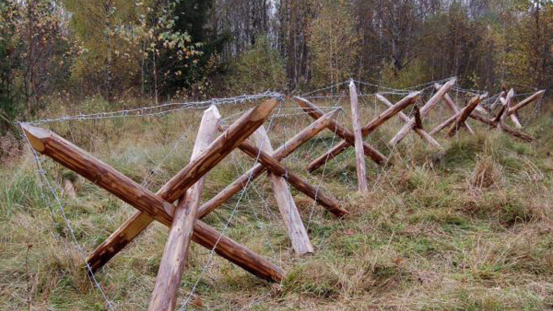 Павловский плацдарм