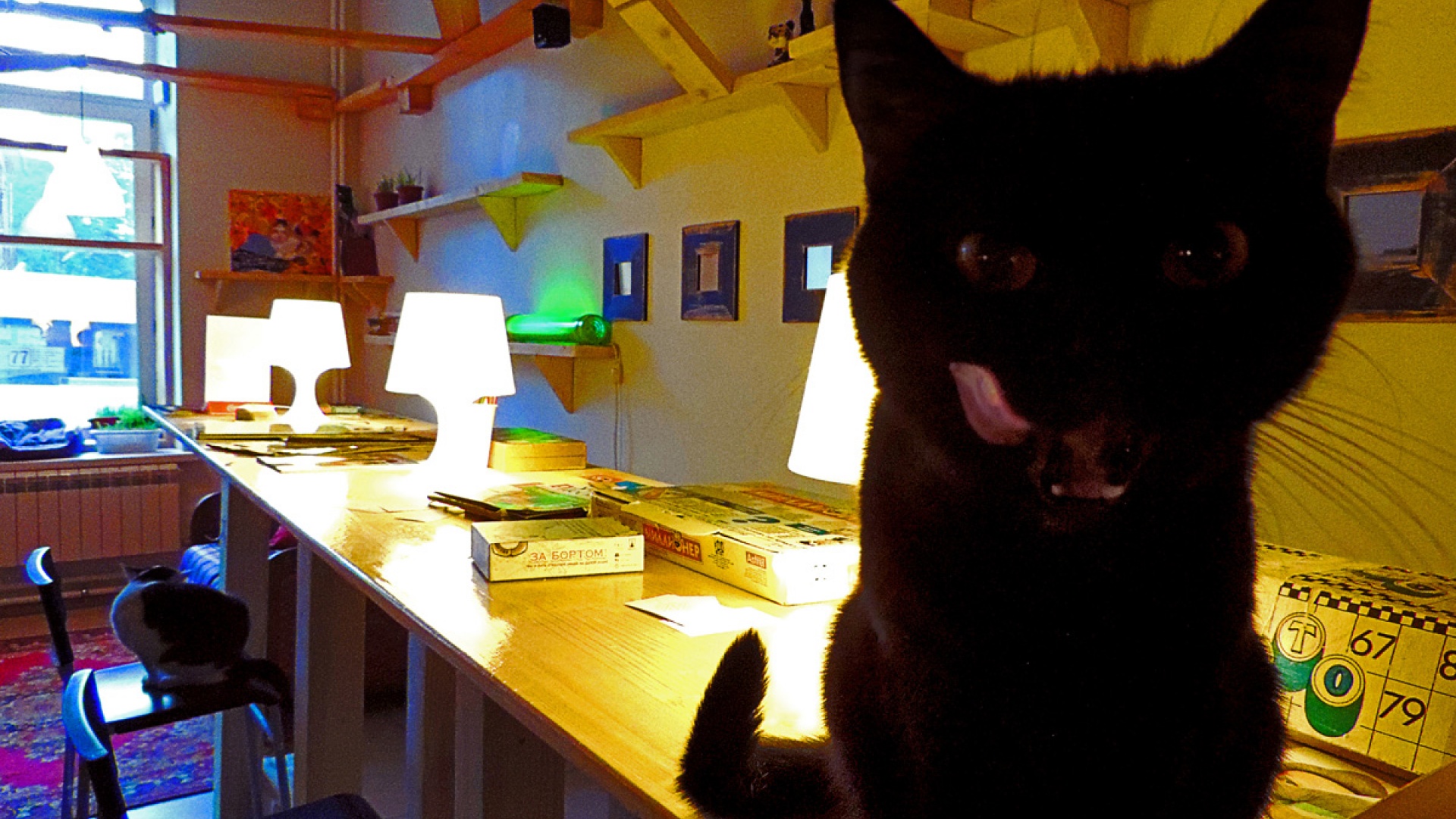 Меховое кафе