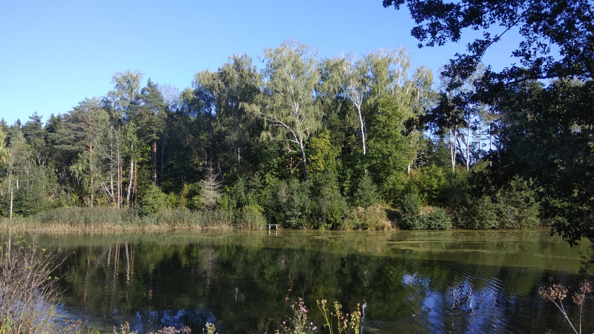 Охотничье-рыболовная база «Рождественские пруды»