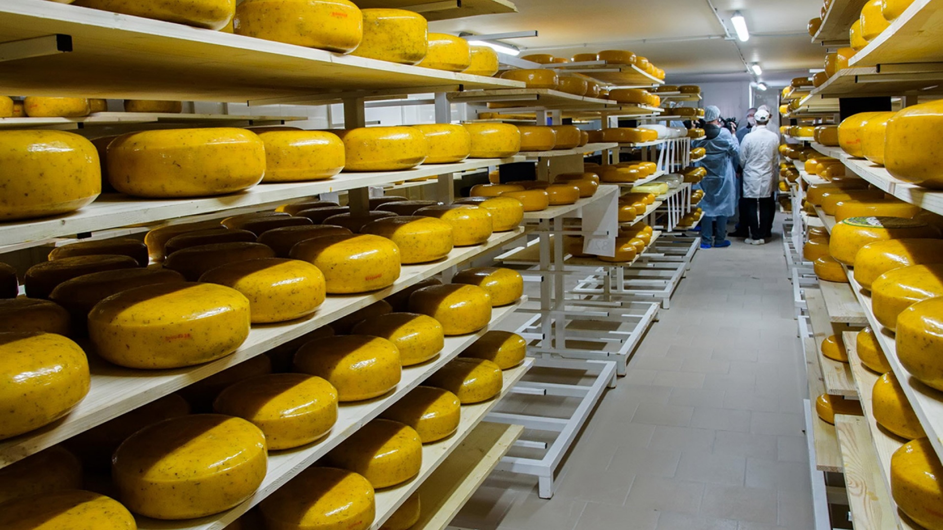 Сыроварня «Сырная губерния»